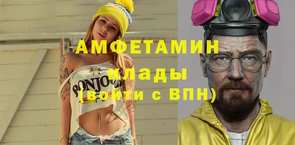 шишки Верея