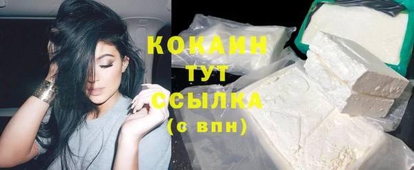 шишки Верея