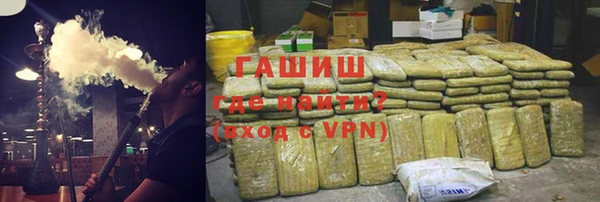 шишки Верея