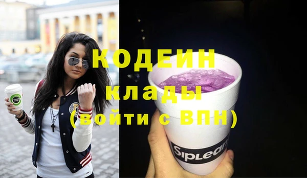 шишки Верея