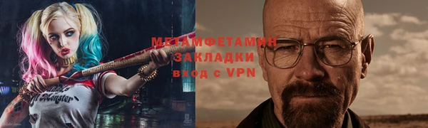 шишки Верея