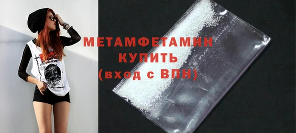 шишки Верея