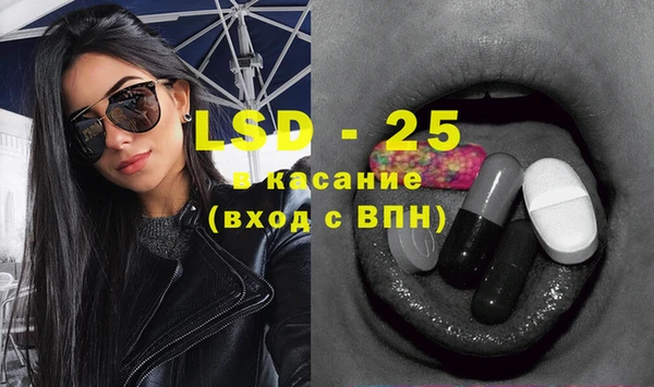 шишки Верея