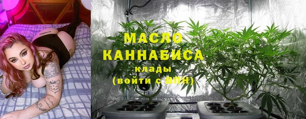 шишки Верея