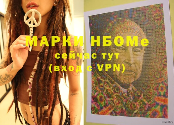 шишки Верея