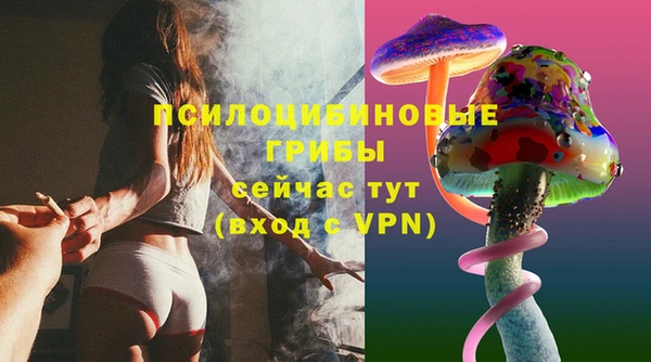 шишки Верея