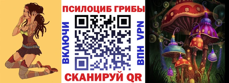 цены   Нижний Новгород  Галлюциногенные грибы Psilocybine cubensis 